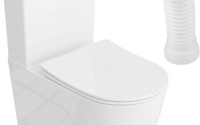 Test du WC monobloc Lavita Nautilius White : praticité et design
