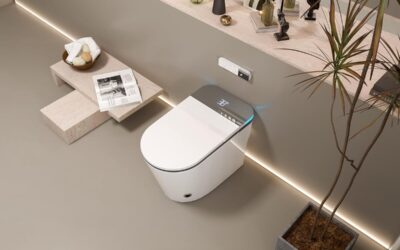 Test du WC allongé de luxe avec bidet intelligent et siège chauffant