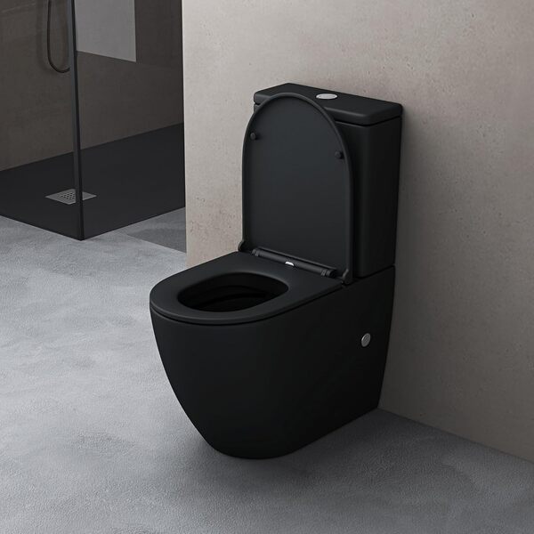 doporro WC à Poser Céramique Noir Mat Toilette avec Réservoir de Toilette Abattant Silencieux avec Frein de Chute Stand179T