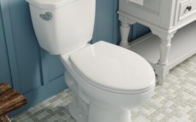 Test des toilettes allongées DeerValley ADA 45, 5 cm haute efficacité