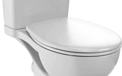 Test du pack WC Jacob Delafon Gaspard : sans bride, économe et pratique