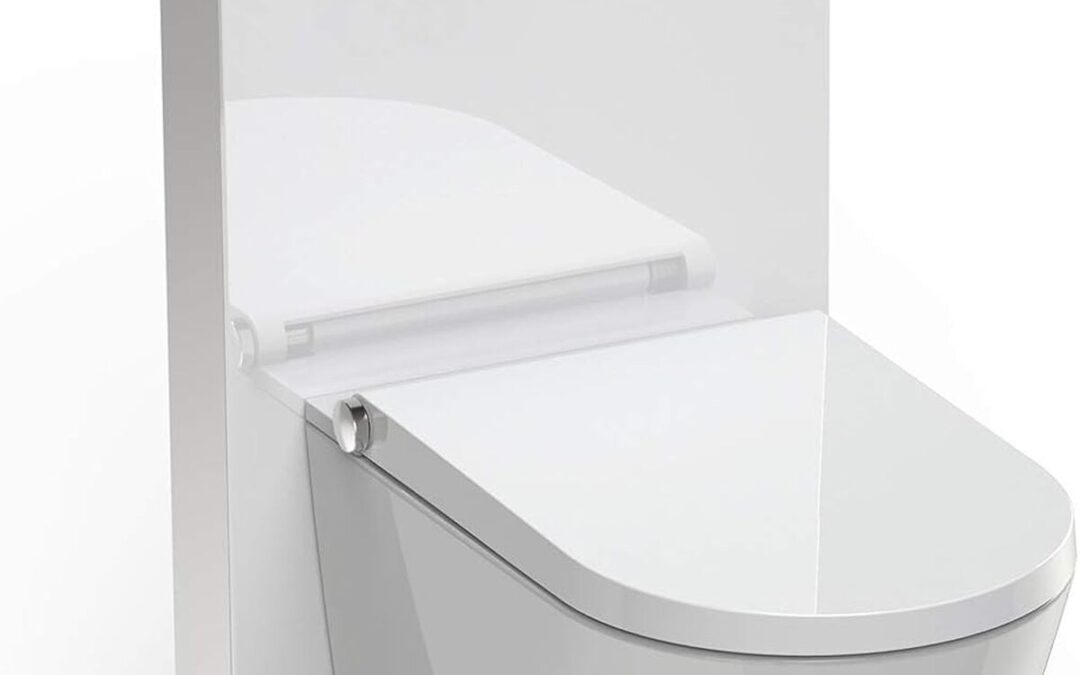 Test du WC japonais lavant Bernstein basic 1102 avec module 805 et plaque