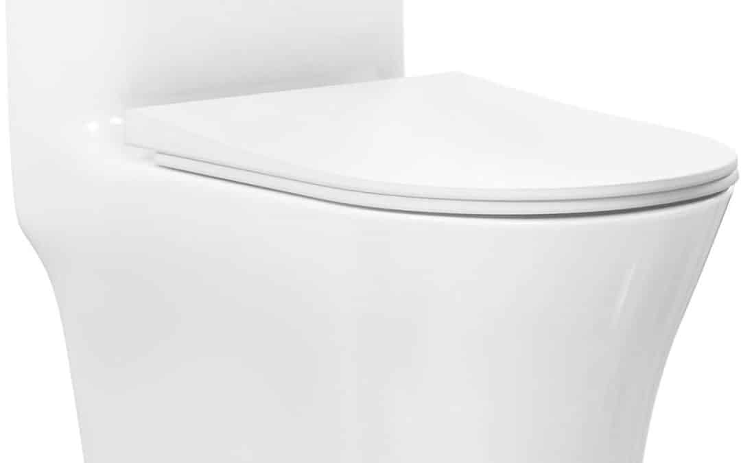 Test du WC monobloc Swiss Madison Cascade : design moderne, chasse d'eau économique