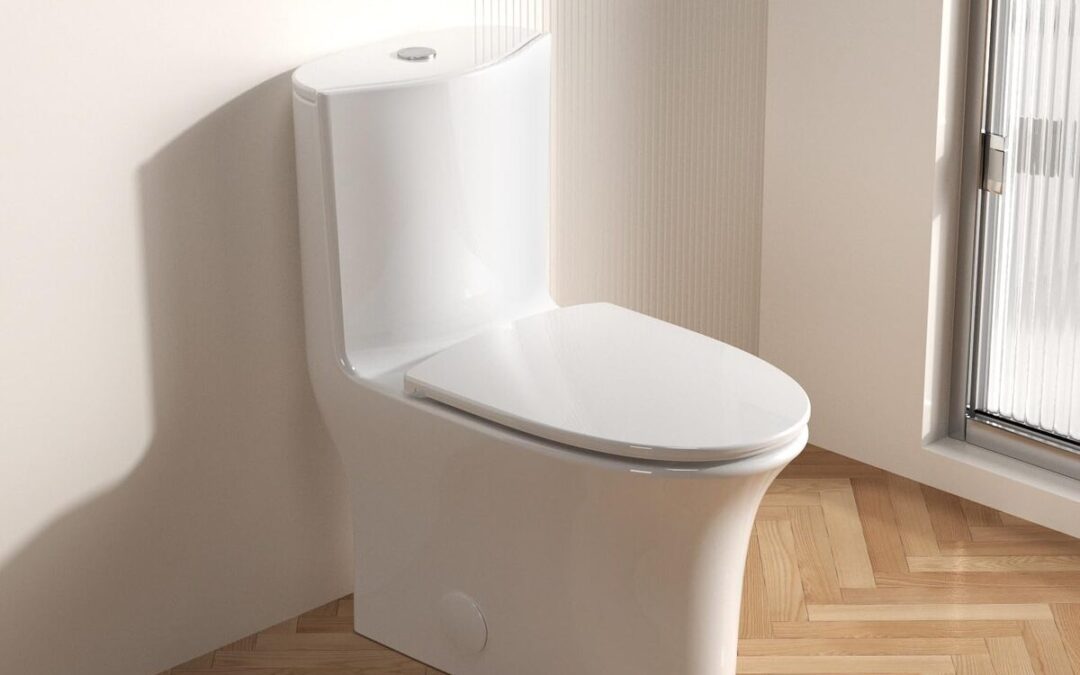 Test : wC Jingze double chasse d'eau confort blanc