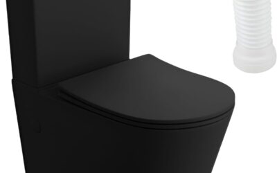 Essai du WC monobloc lavita Neptun Black avec réservoir intégré