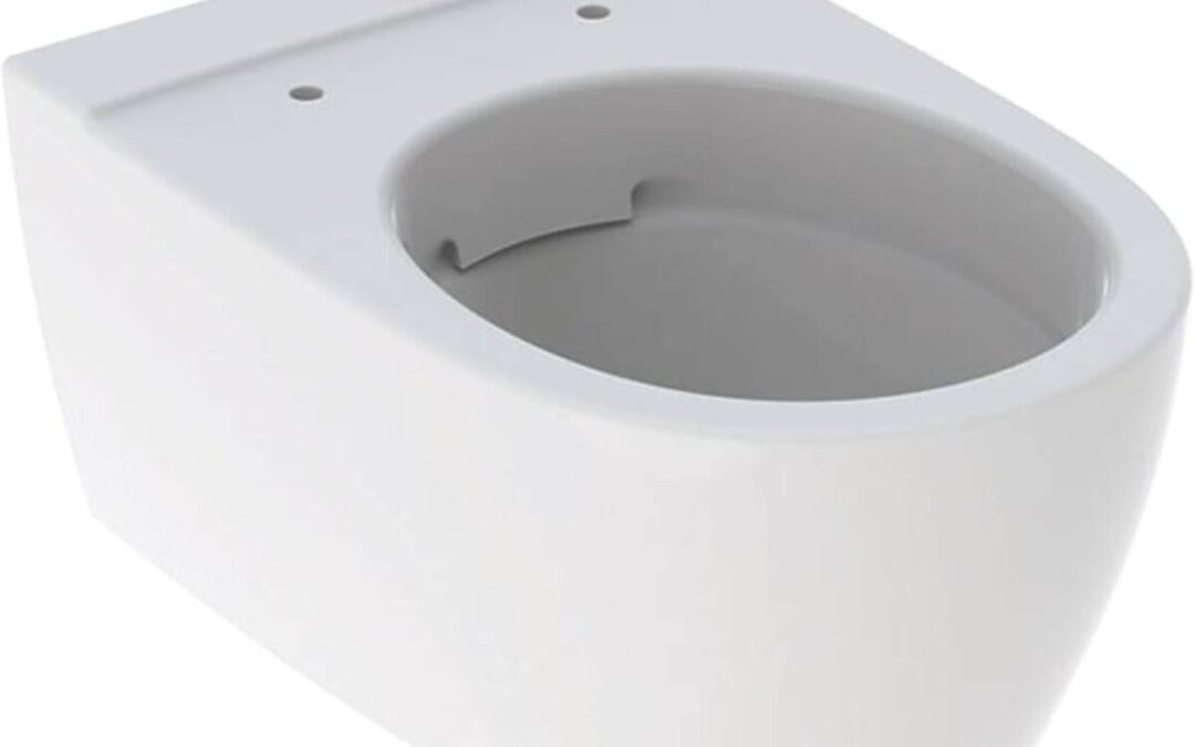 Test : cuvette murale Keramag kg Icon blanc alpin