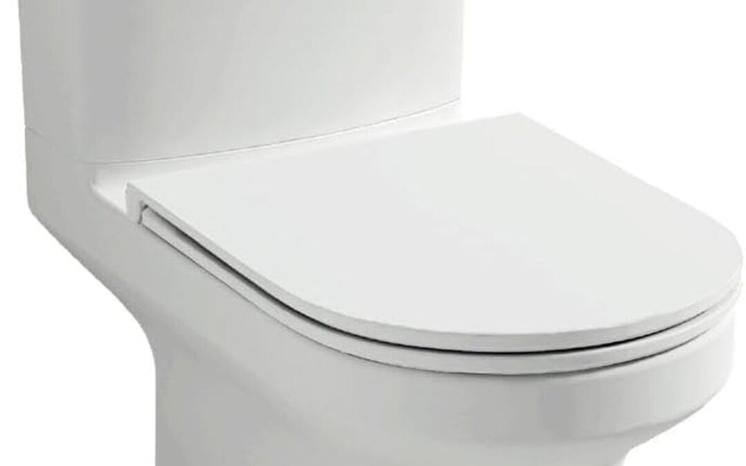 Test du WC au sol Jacob Delafon Elite avec abattant extraplat