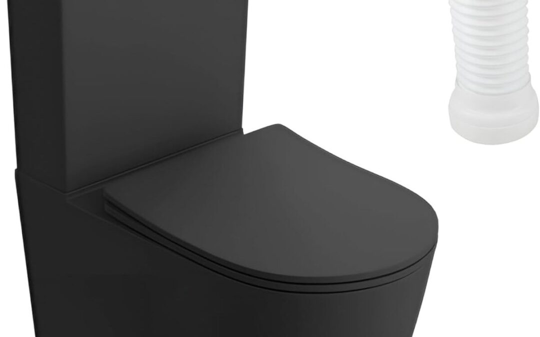 Test du WC monobloc LAVITA Nautilius Black : design et fonctionnalité