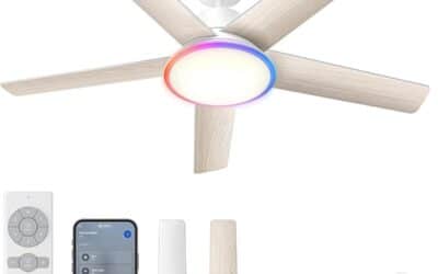 Test : dreo ventilateur de plafond intelligent 132 cm avec lumière et moteur CC silencieux