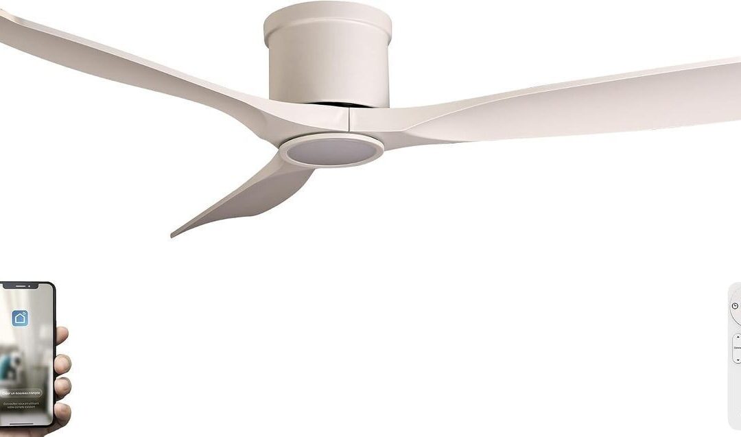Test du brasseur d'air Fanelite ARATUA : puissance, lED et silence au rendez-vous