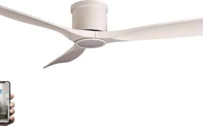 Test du brasseur d’air Fanelite ARATUA : puissance, lED et silence au rendez-vous