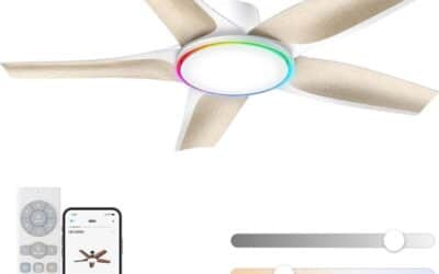 Test du ventilateur de plafond intelligent Dreo 132 cm avec éclairage rgb et moteur silencieux