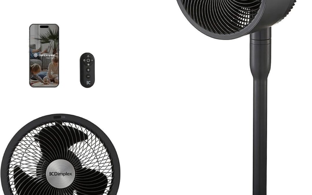 Test du ventilateur Dimplex Duocool : performance et connectivité