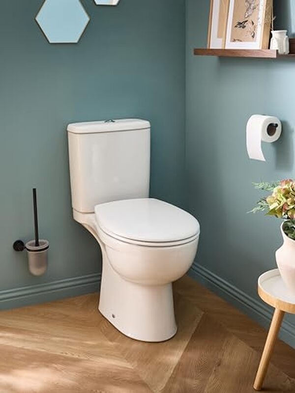 Découvrez notre test complet du pack WC sans bride Jacob Delafon Camille : performances, design et prix. Un choix économique pour votre salle de bains.