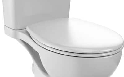 Test du pack WC sans bride Jacob Delafon Camille : performant et รฉconomique