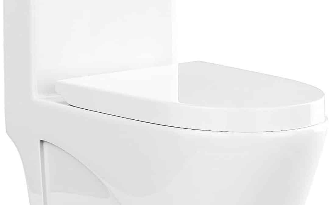 Test du WC Nagilam : élégance et fonctionnalité